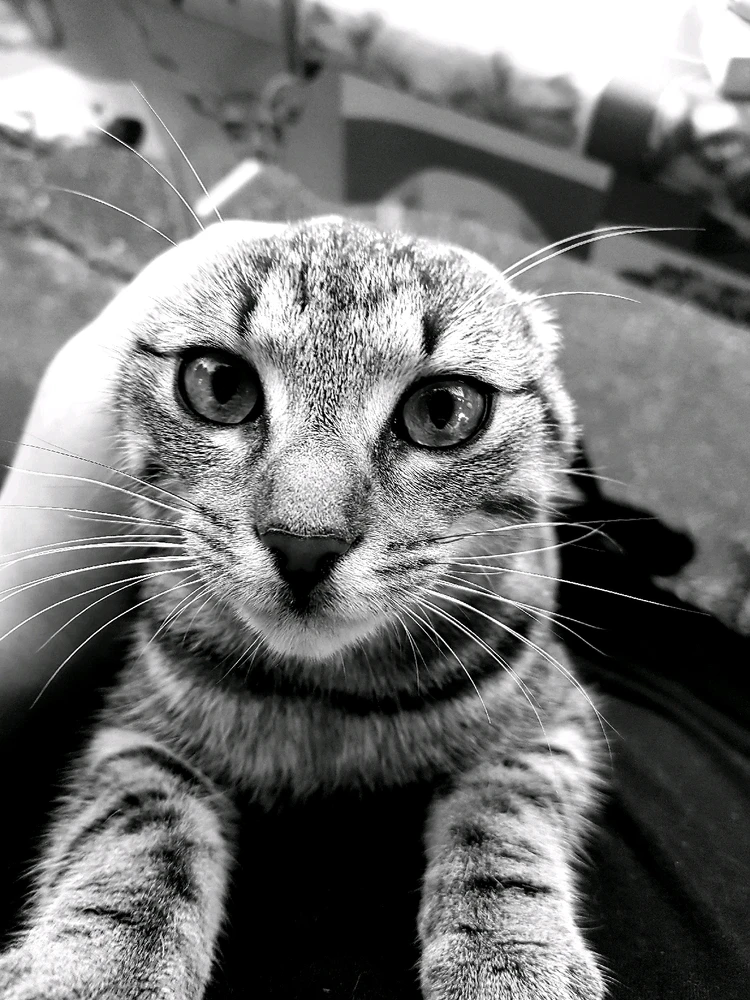 Bild hochgeladen von Doris