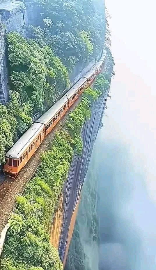 Image ajoutée par Jean Michel