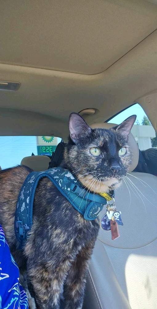 Image uploaded by Aj