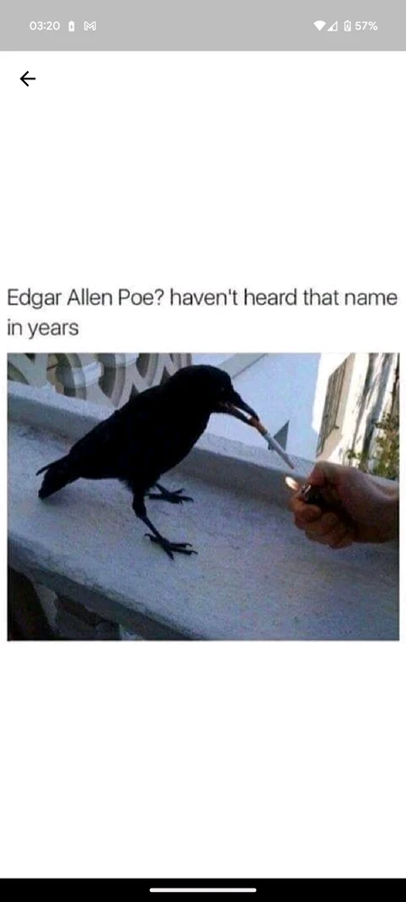 Image uploaded by Dalton