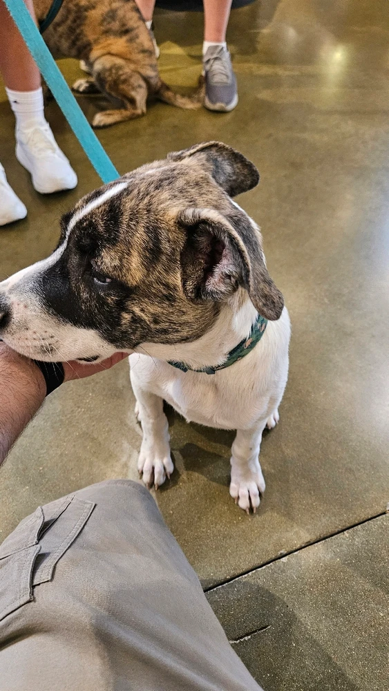 Jojo님이 올린 사진