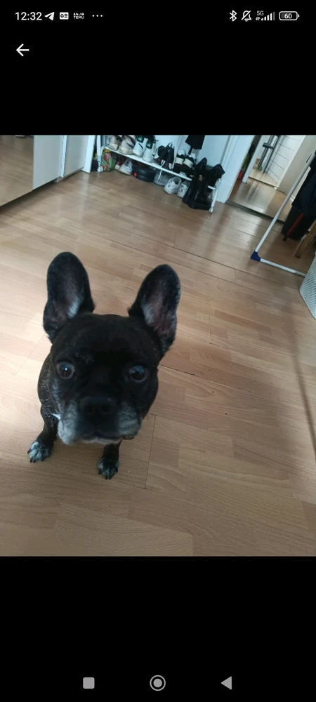 Bild hochgeladen von Kevin