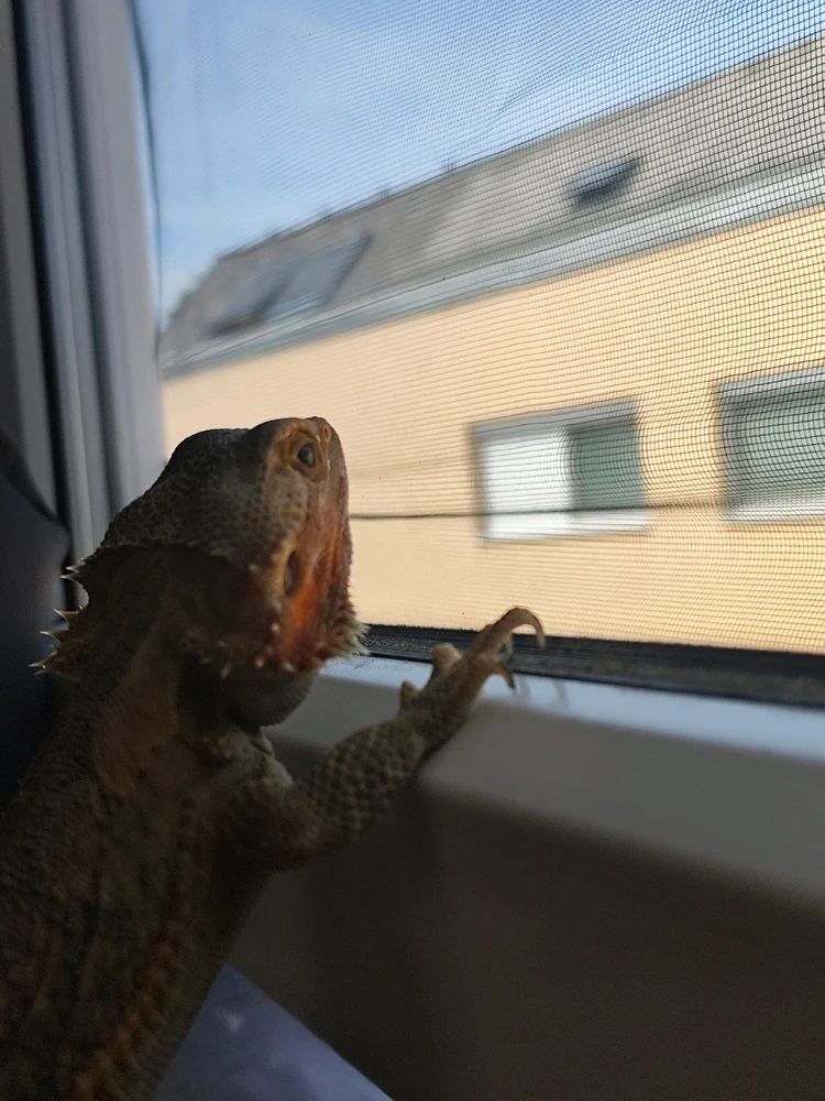 Bild hochgeladen von Patrick