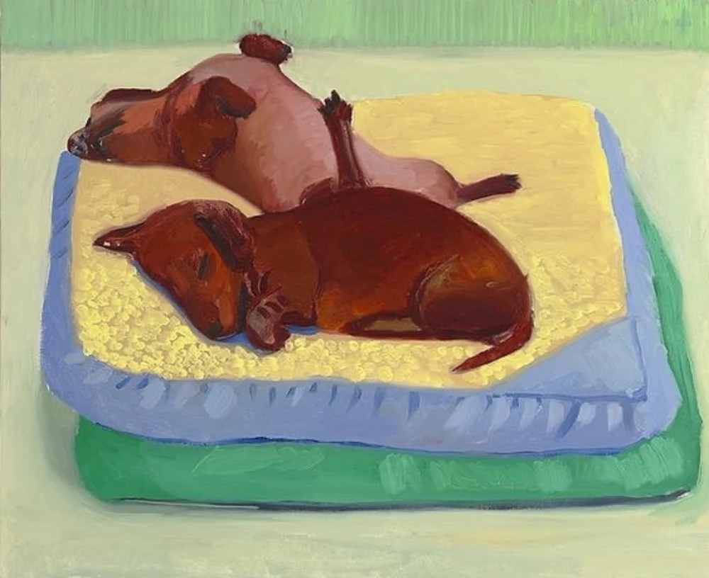 Obrázek nahrál Irónia