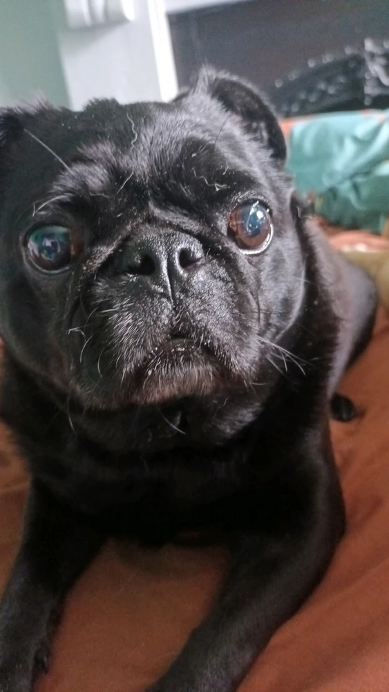 Image uploaded by River