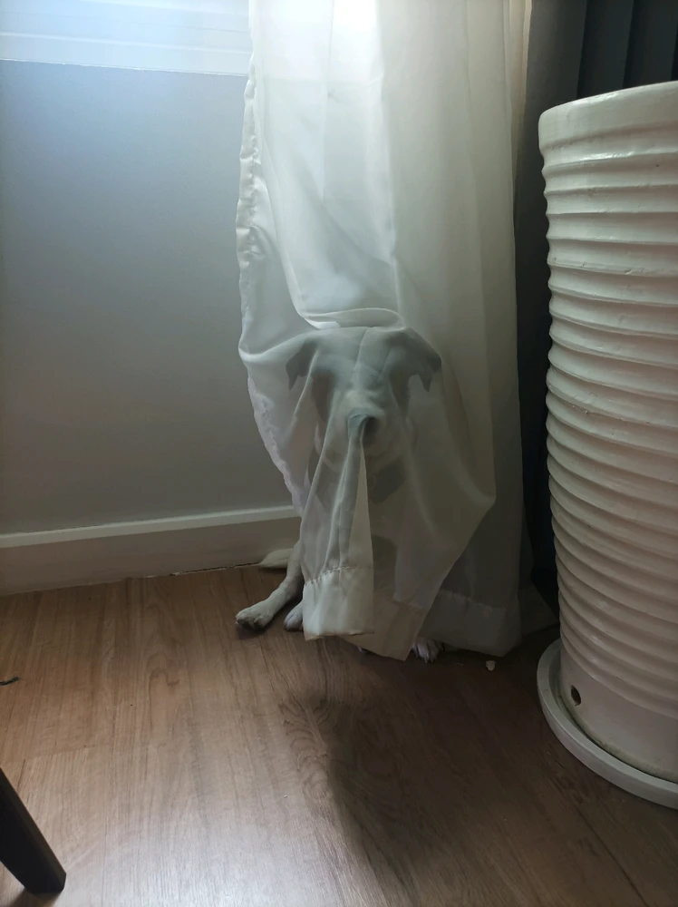 Immagine caricata da Cris