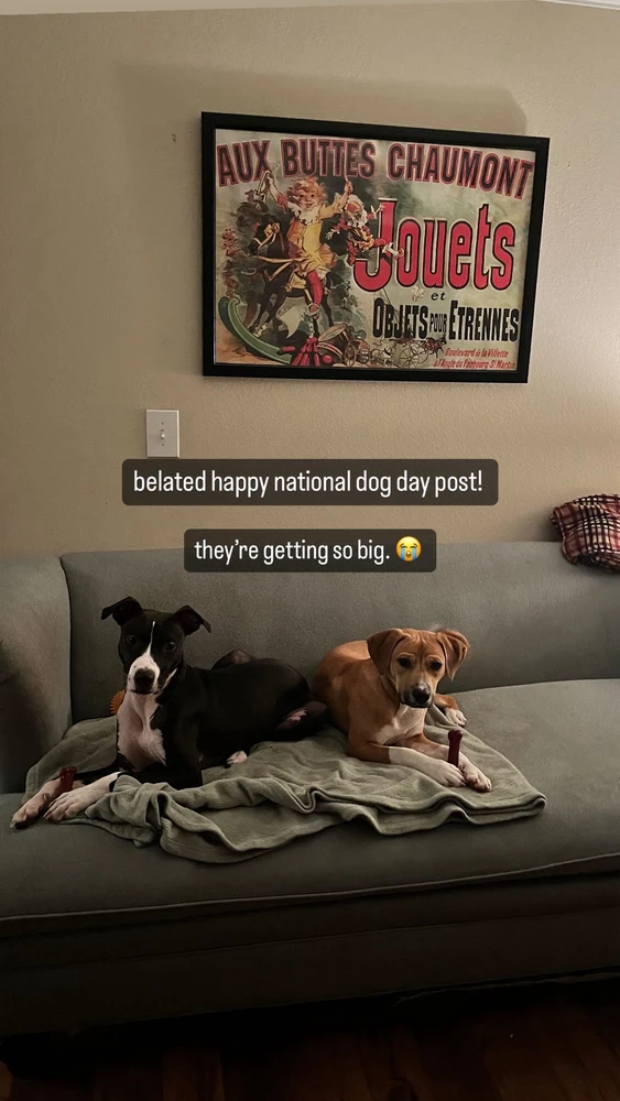 Image uploaded by kendra