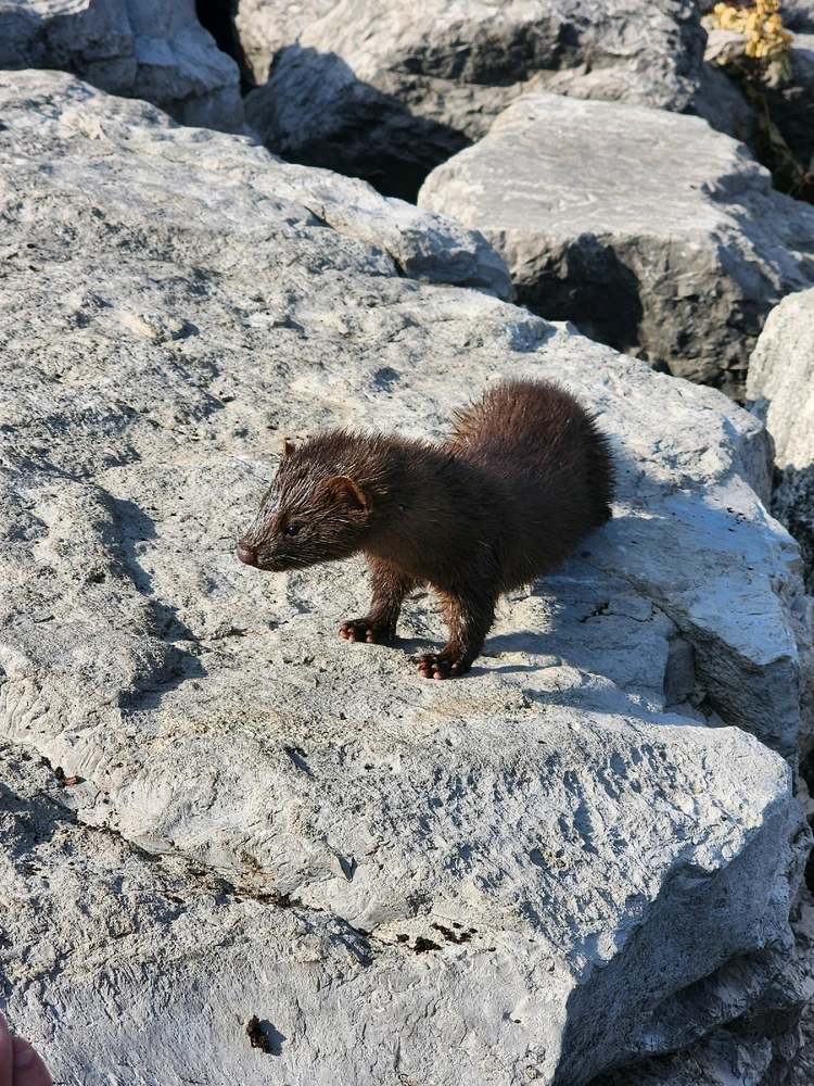 Image uploaded by Daniel