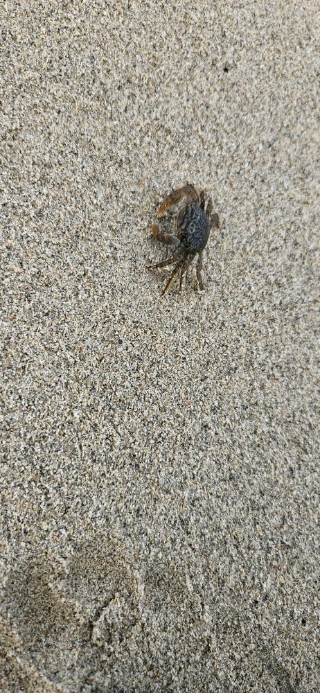 Image uploaded by Crys