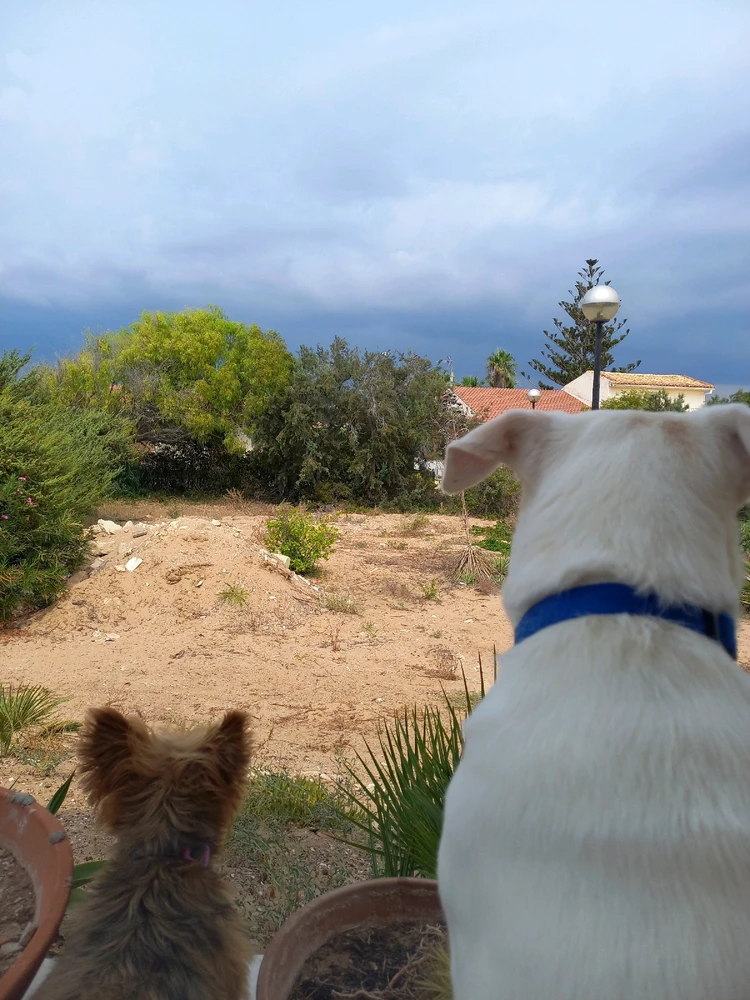 Immagine caricata da Antonella