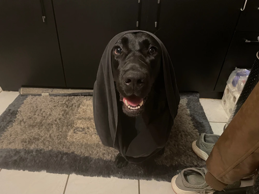 Bild hochgeladen von Marvin