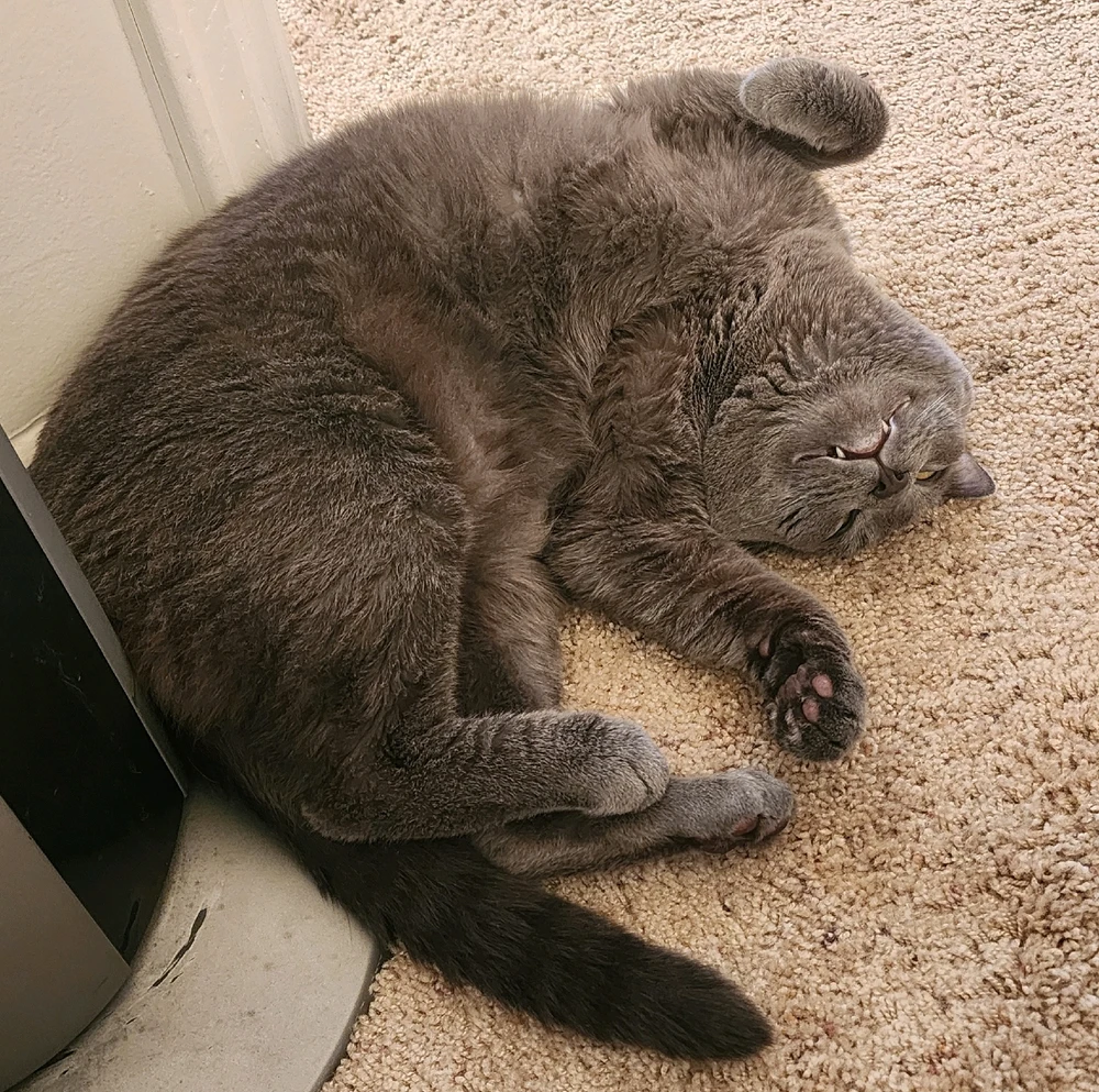 He bein a dorky lil guy