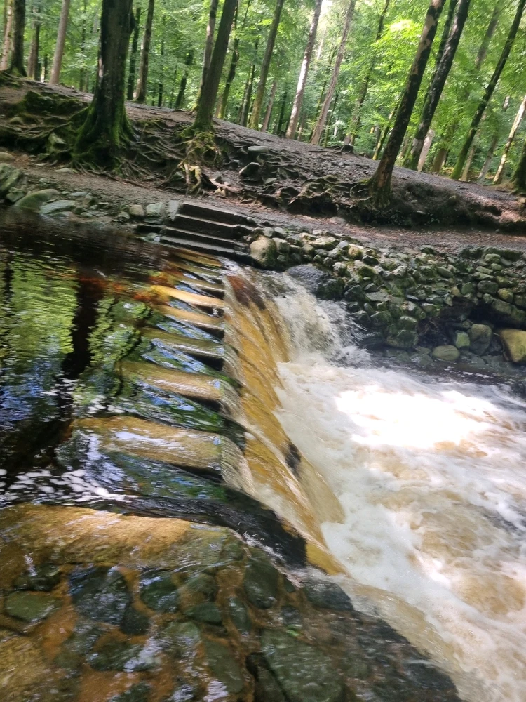 Bild hochgeladen von Sabine