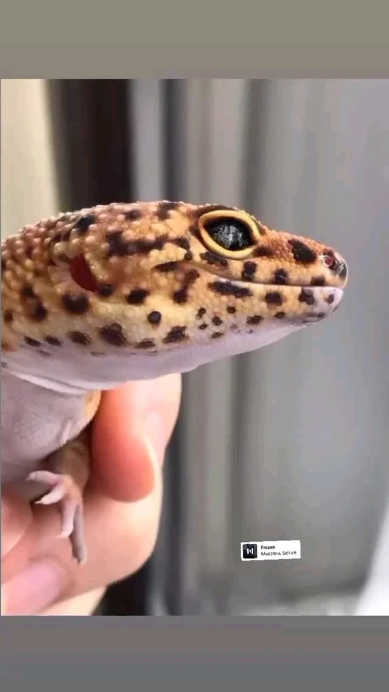 Tiryaki tarafından yüklenen görsel