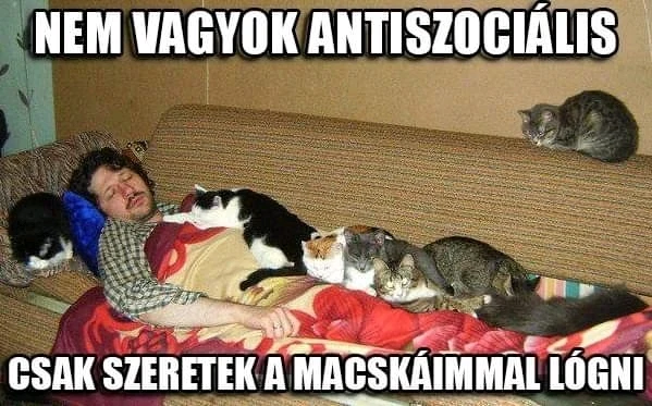 Dona 🦝👻🦝 által feltöltött kép