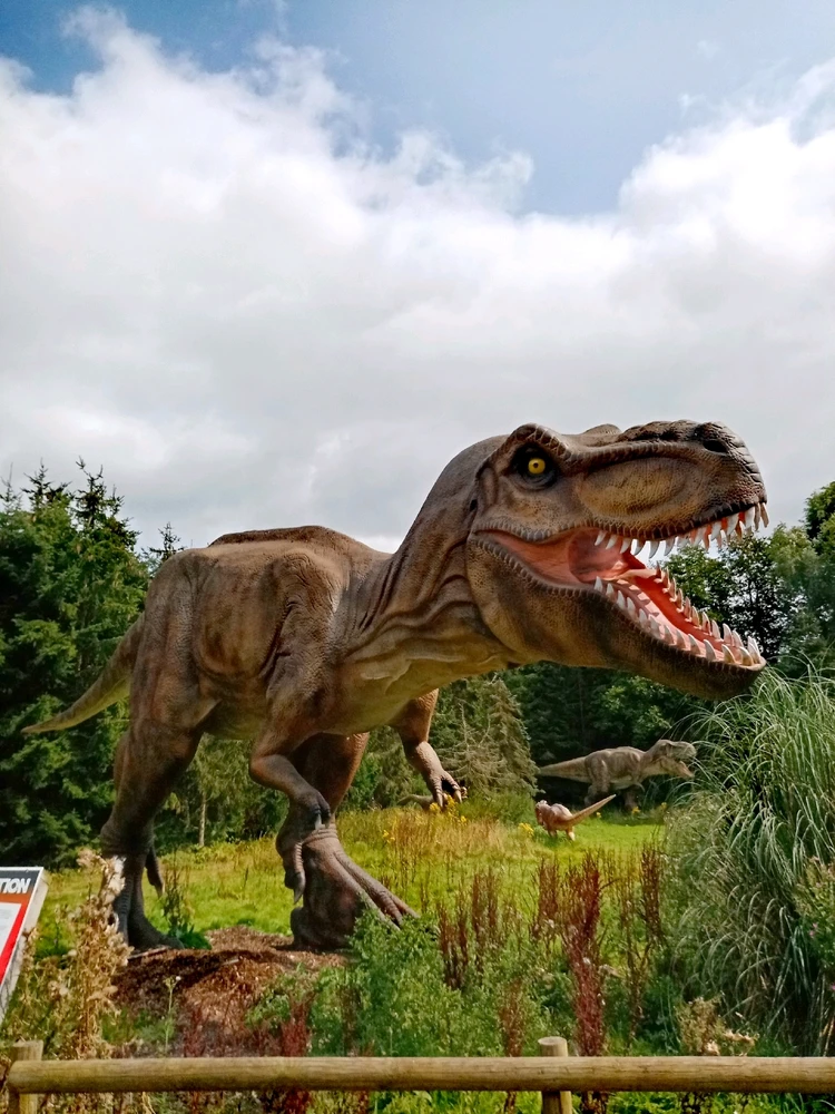 Obrázek nahrál Aleš