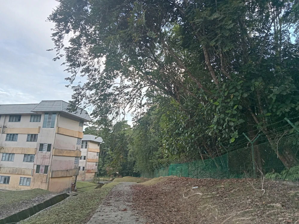 Imej dimuat naik oleh Apik