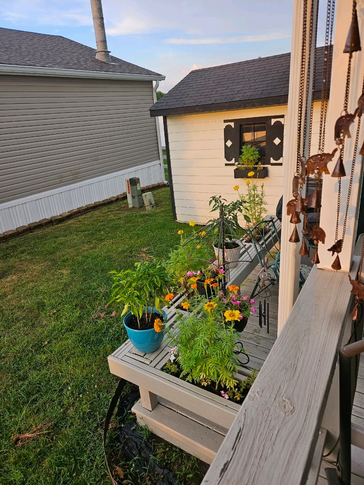 Image uploaded by Jeff Wolfe