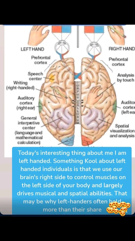 Image uploaded by Taylor