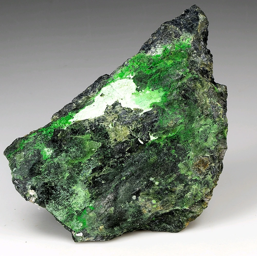 Image uploaded by Katlyne