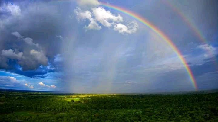 Image uploaded by Tanwi