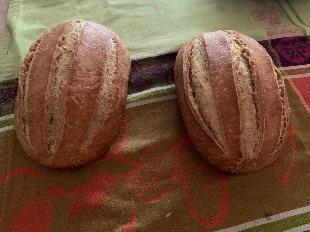 Immagine caricata da Alexalì