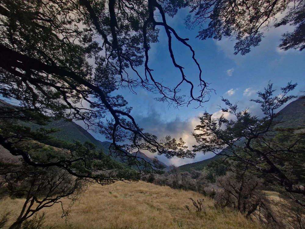 Image uploaded by Rob