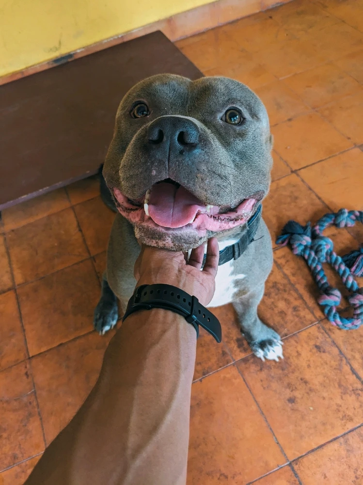 Nandu അപ്‌ലോഡ് ചെയ്ത ചിത്രം