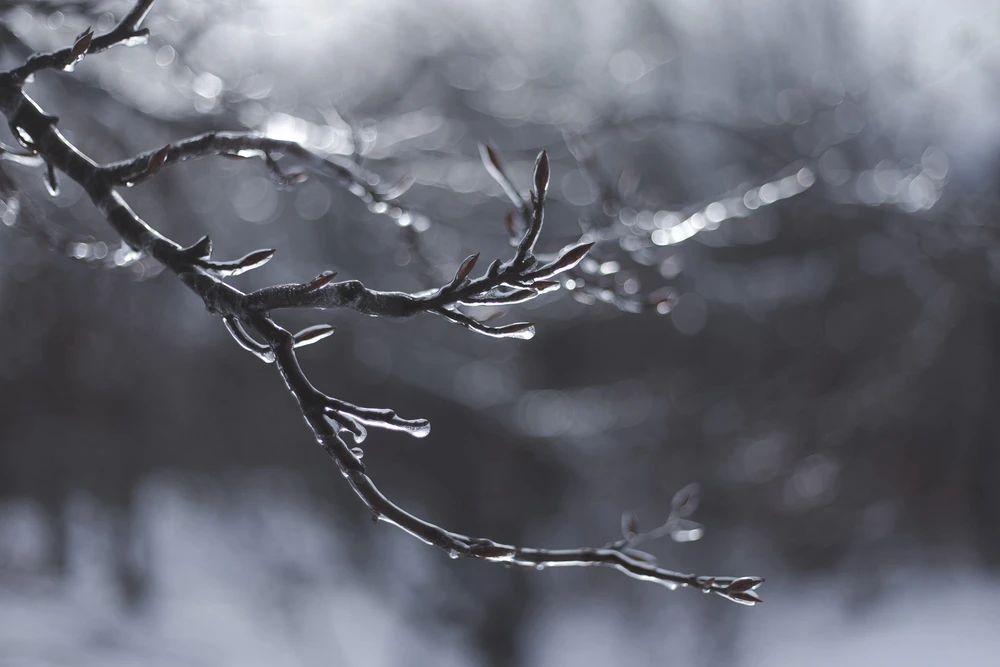 Obrázek nahrál Filip