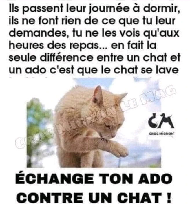 Image ajoutée par Amélie