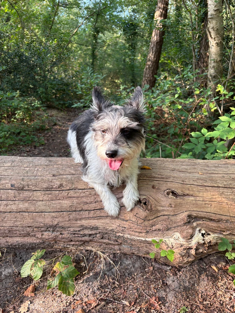 Bild hochgeladen von Nils