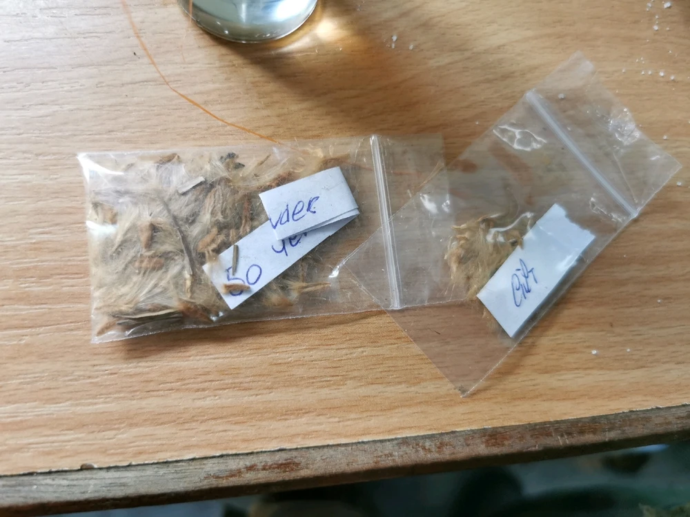 由Kornel上传的图片
