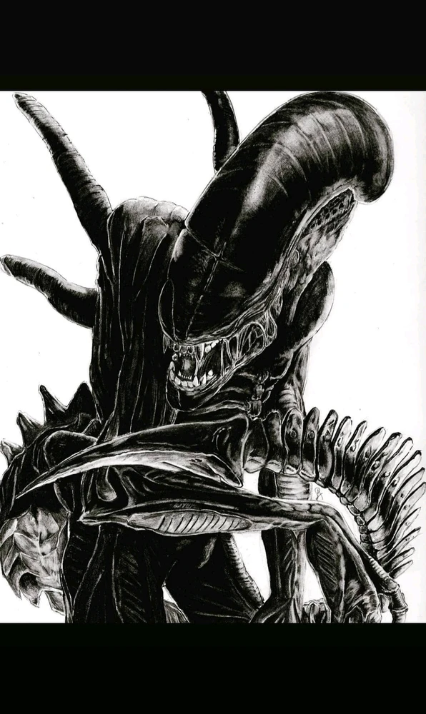 Immagine caricata da Luciano