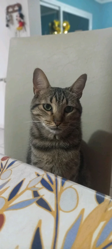 Image uploaded by Julián