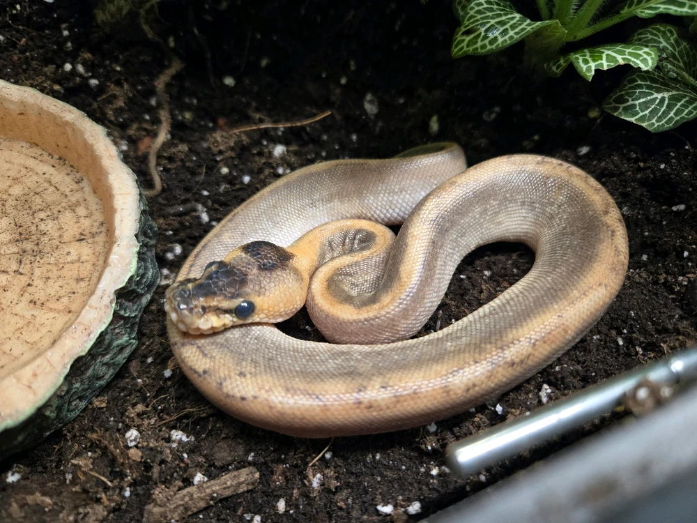 Image uploaded by Alex