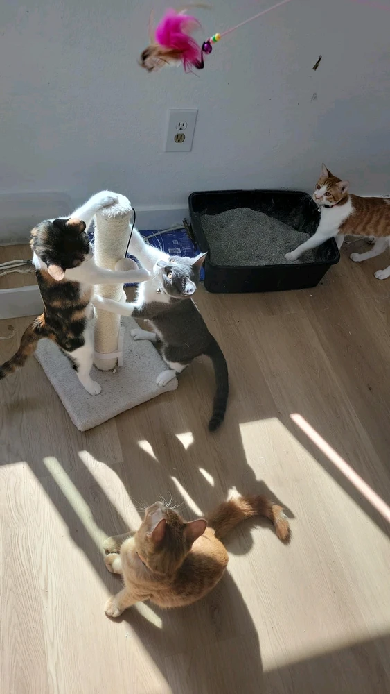 Image uploaded by Angel