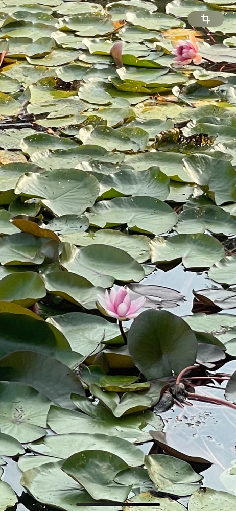 Olga上傳的圖片