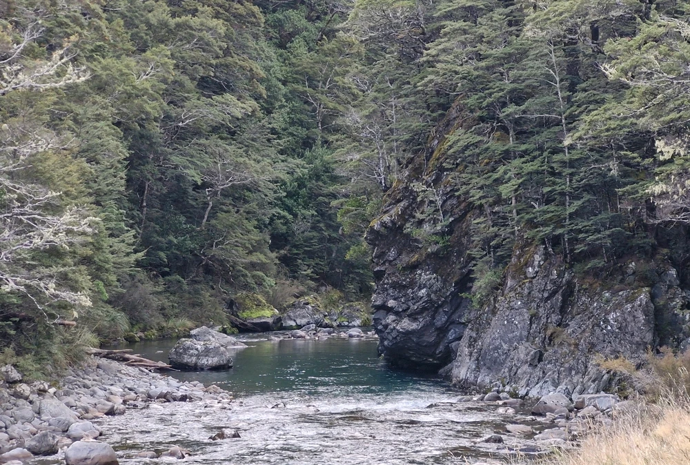 Image uploaded by Rob