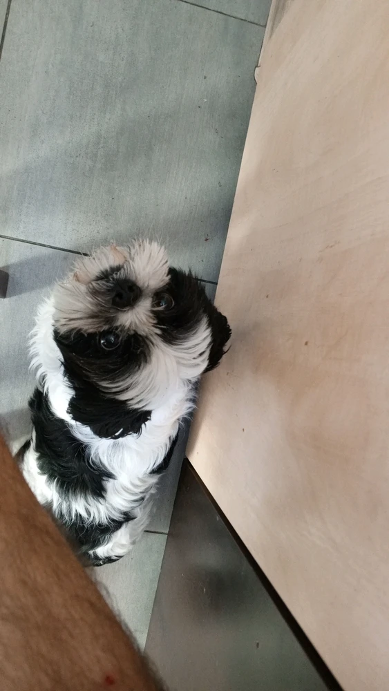 Зображення завантажив Plitkar