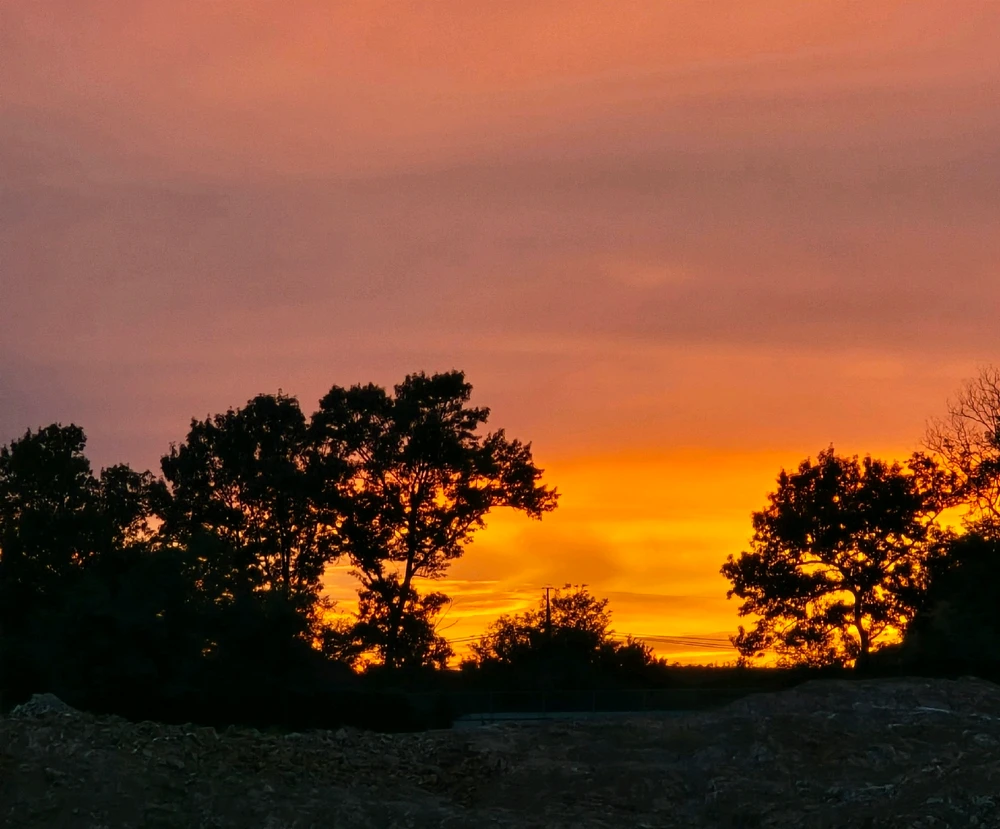 21호님이 올린 사진