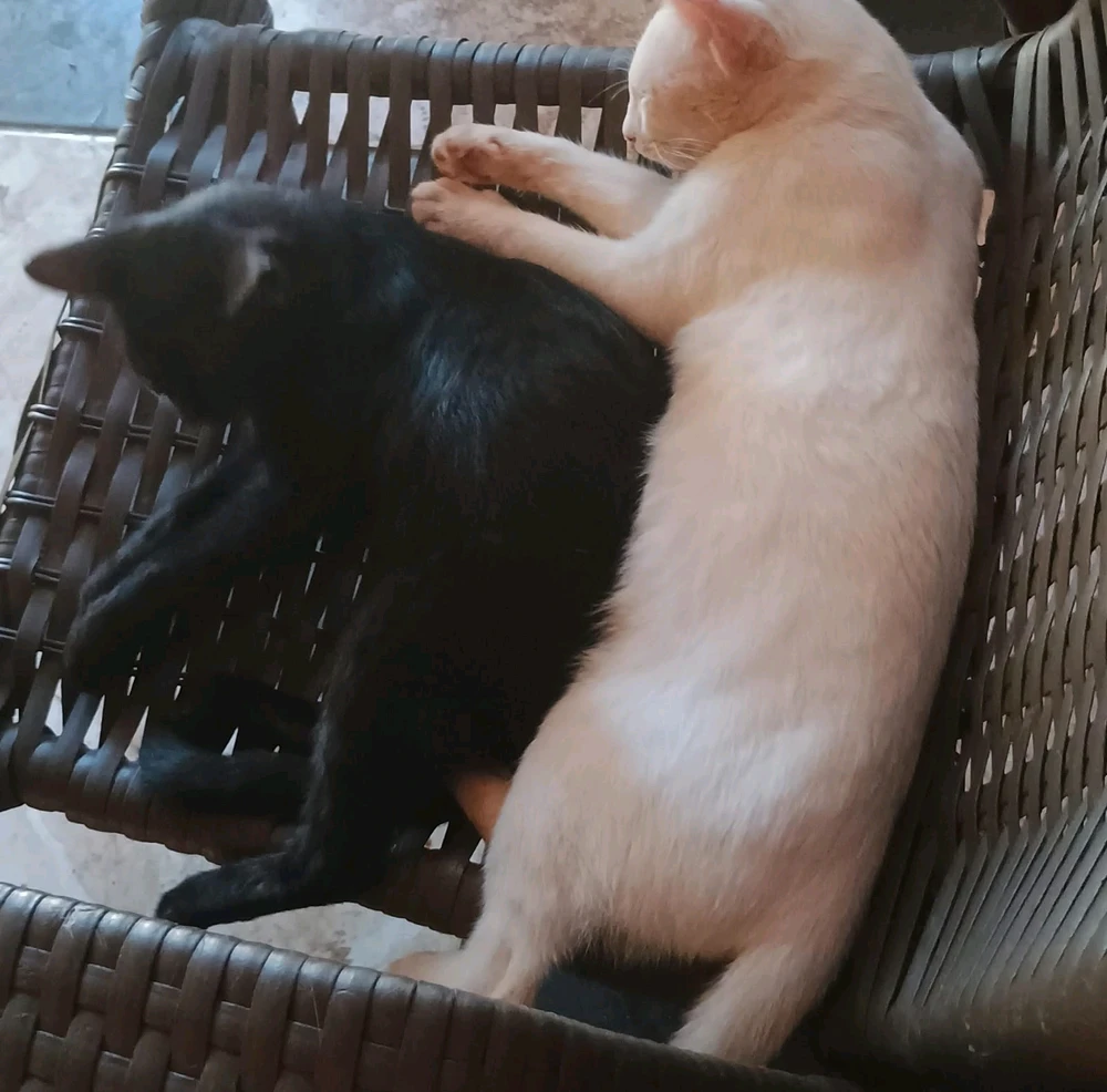 Imagem enviada por Kelly