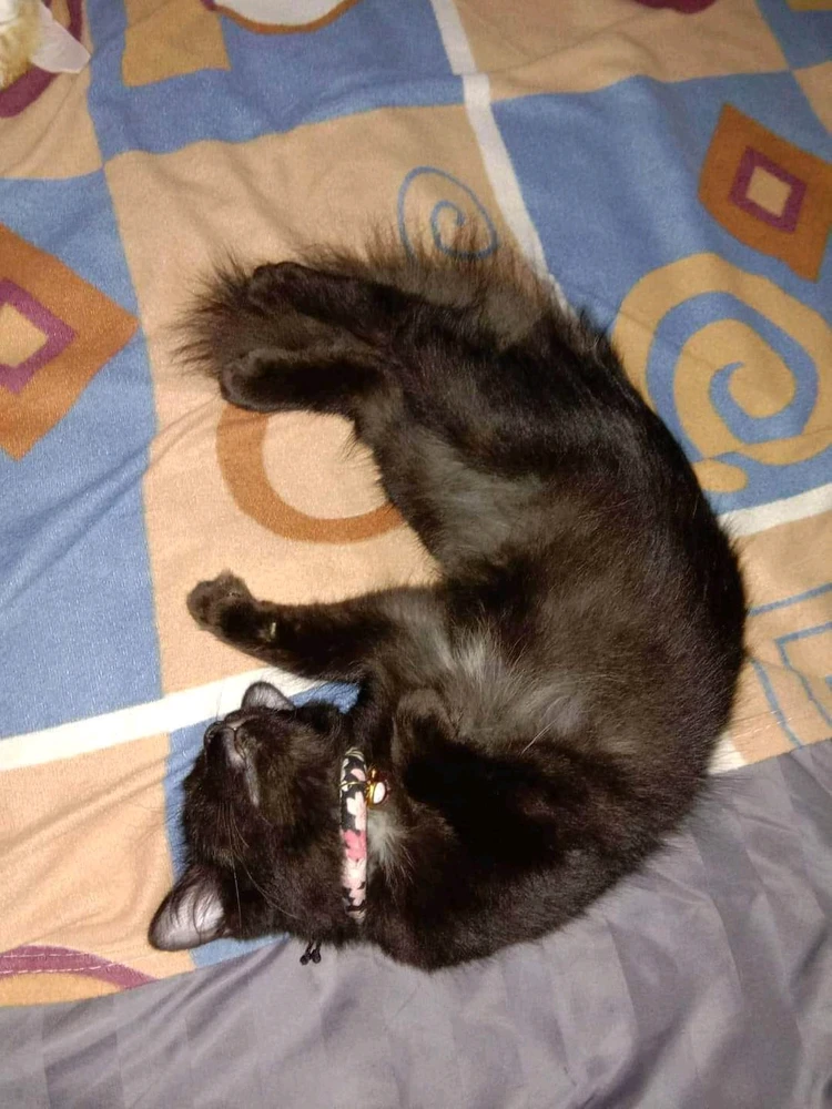 รูปที่อัพโหลดโดย ~sugar💋~