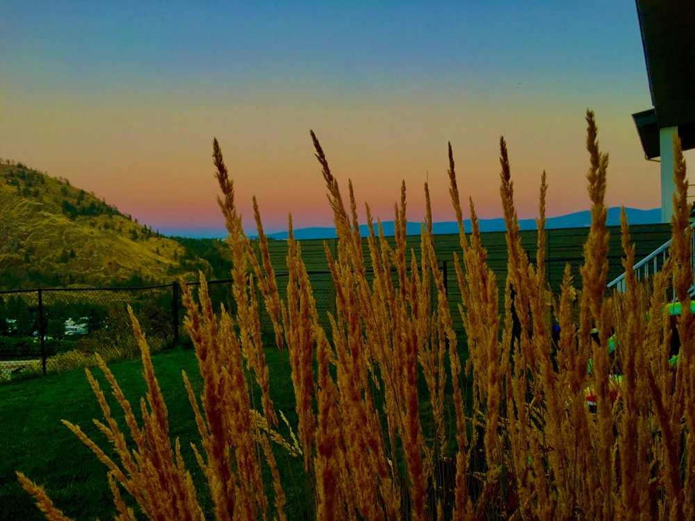 Image uploaded by Sage