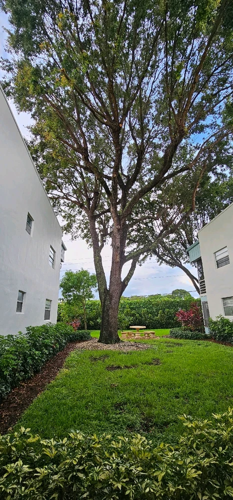 Image uploaded by Liza