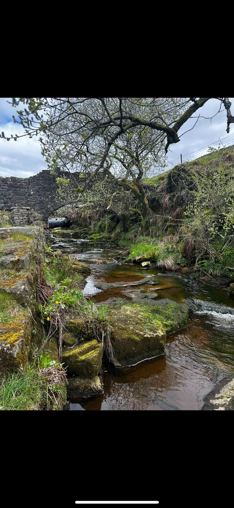 Image uploaded by Kirsty