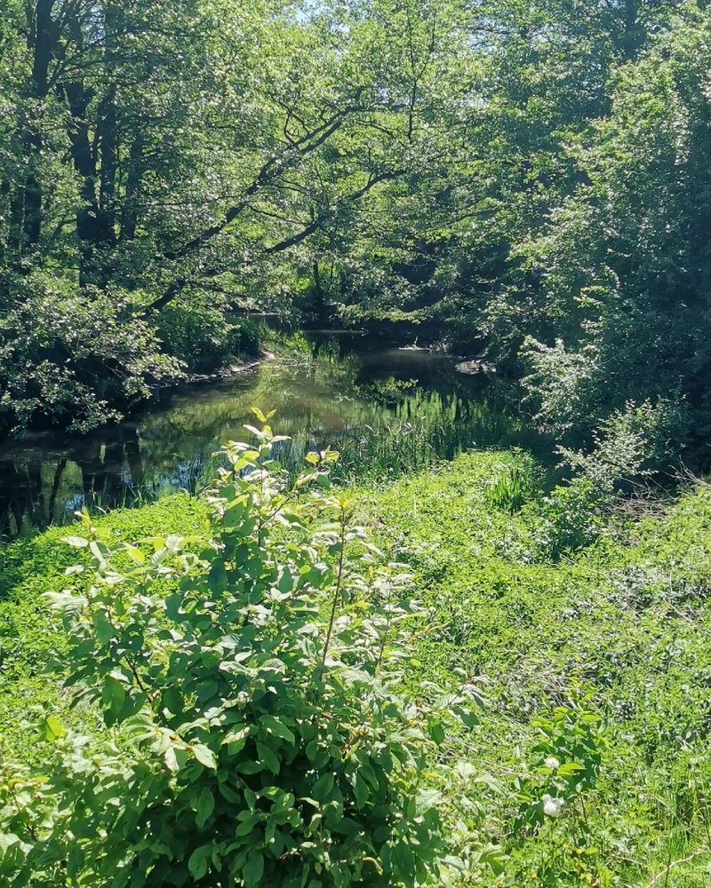 Zdjęcie dodane przez Lexiasty