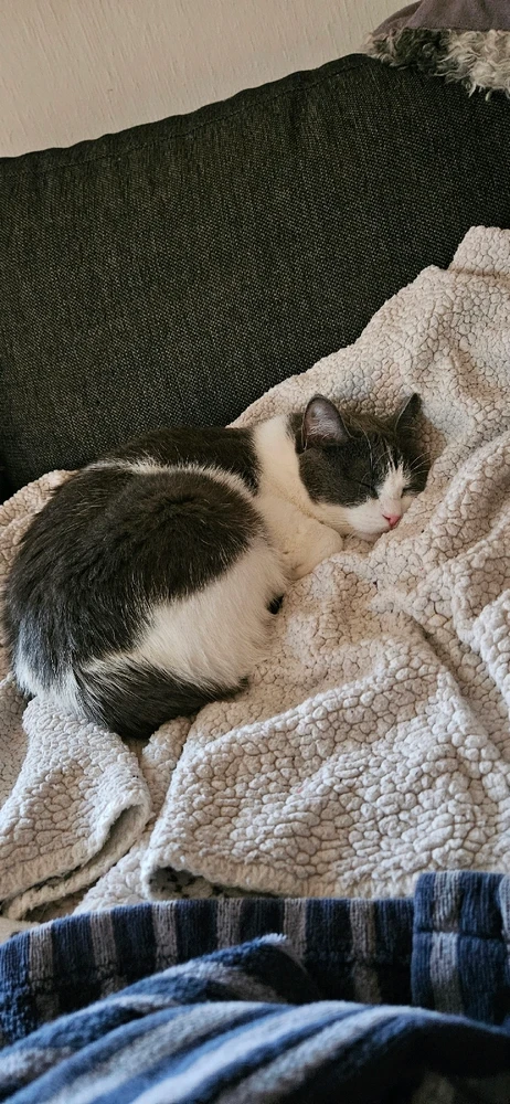 Bilde lastet opp av Tomek