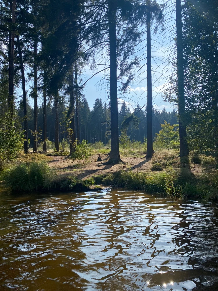 Obrázek nahrál Dawe