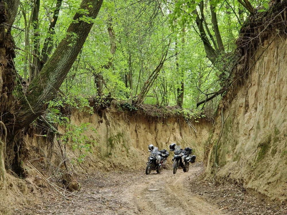 Obrázek nahrál Mare