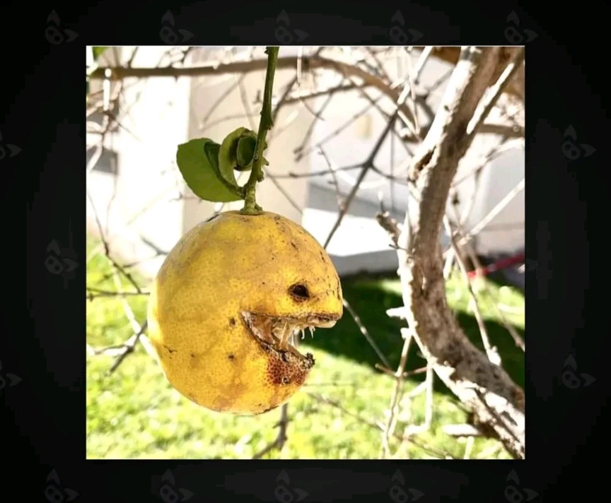 Image uploaded by *JB* 🇬🇧🇬🇷